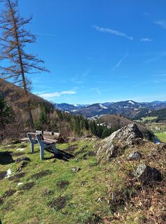 Photo de Mimi le long du parcours