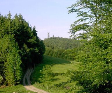 Dambergwarte