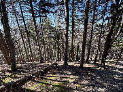 Fotografie z Florian Wieland na trase