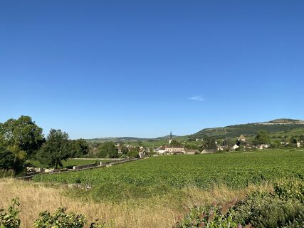 Fotografija s spletne strani Hans van der Meij na poti