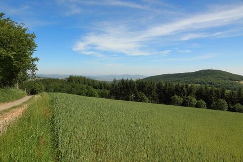 Mont Arjoux
