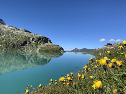Foto von Koen De Wit entlang der Tour