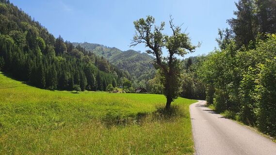 2.7 km Mayrwinkel