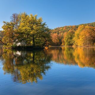 See im Fürstlich Greizer Park