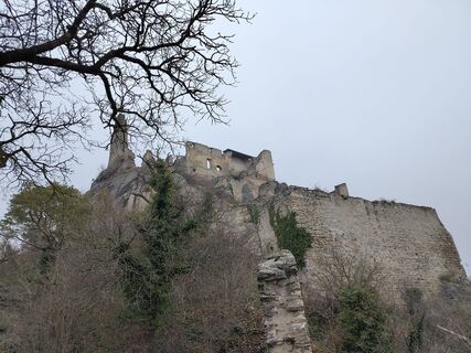 Fotografija s spletne strani Sylvia Bierbaumer na poti
