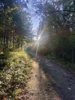 Fotografia z Sven Thoms na trase