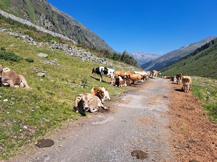 Foto von Christian Lerchster entlang der Tour