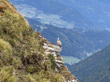 Photo de Niels Kooijman le long du parcours