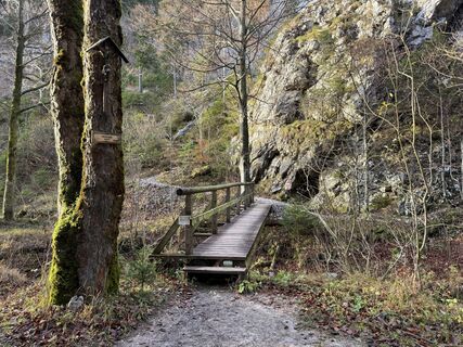Fotografija s spletne strani Natur_erleben_dg na poti