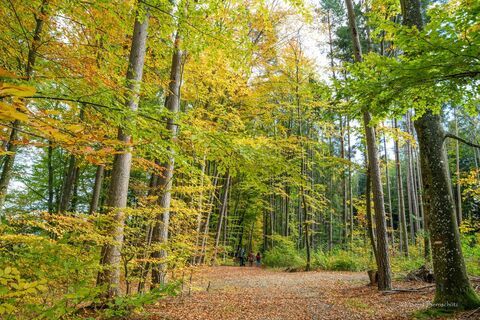 60er Roas in Grafendorf_Oststeiermark