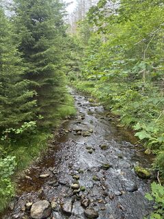 Photo de Lainie le long du parcours