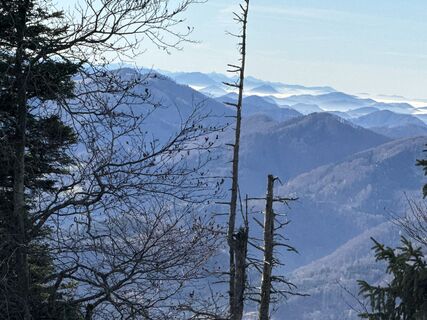 Photo de Willibald BRIZA le long du parcours