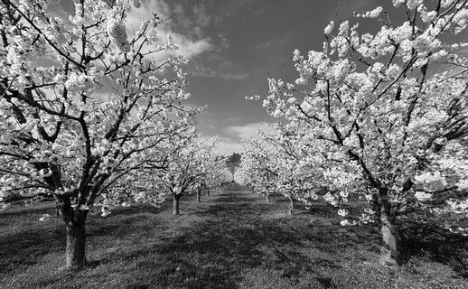 Fotografia z Thomas Schwarz na trase