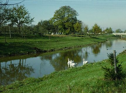 Idylle am Ortsrand von Gosdorf.