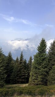 Fotografija s spletne strani Markus Hornung 72 na poti