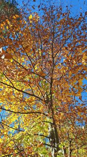 Fotografia z Aga M na trase