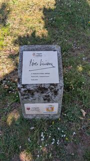 Photo de Günter Ripken le long du parcours
