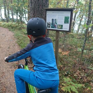 Ukonmäen Naturpfad