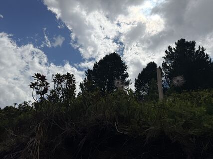 Foto de Gerti Glettler a lo largo del recorrido