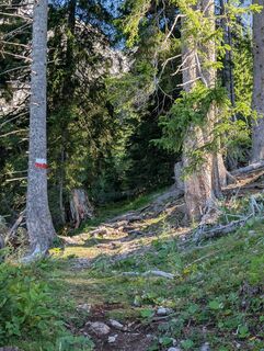 Photo de Phil le long du parcours