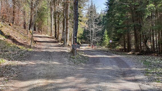 4.5 km Abzweigung nach links vor Schranken