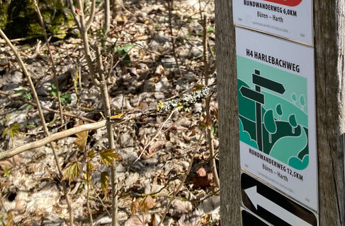 H4 Harlebachweg | Büren-Ringelstein