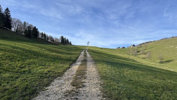 Fotografia z michael lierka na trase