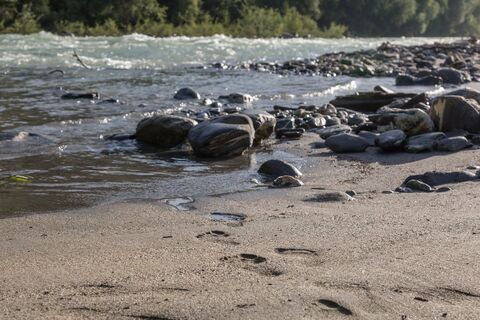 Sandstrand am Rhein