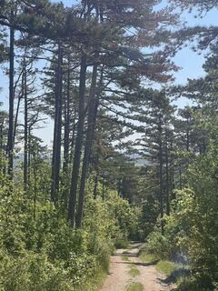Foto von Patrick 30 entlang der Tour
