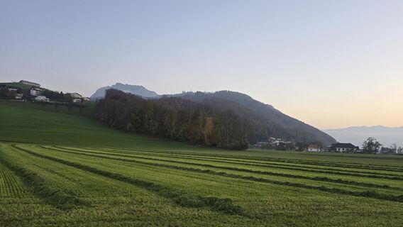 Fotografija s spletne strani Emillie Gessert na poti