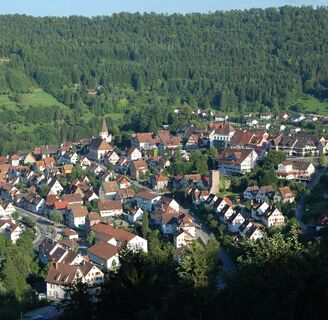 Wildberg