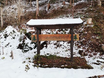 Schild zum Waldlehrpfad