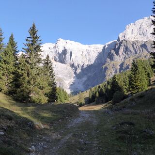 Ein alter Almweg führt zu den "Vier Hütten". Im Hintergrund das Birgkar und rechts der Hochkönig.