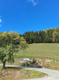 Foto von Isabella Peinsold-Klammer entlang der Tour