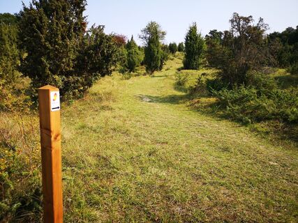 Wacholderheide Ostheimer Hute