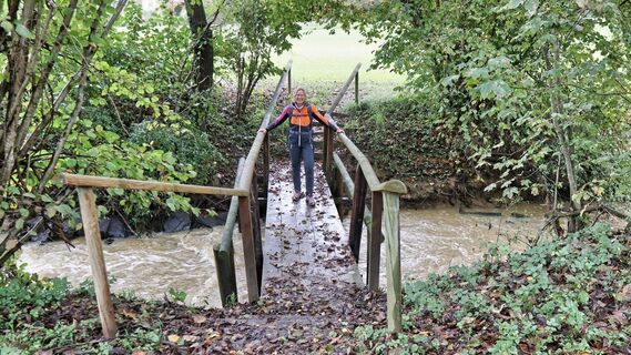 Holzbrücke über den Auersbach