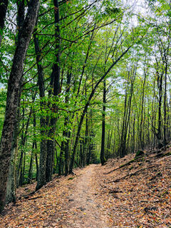 Photo de Bigjohn71 le long du parcours