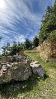 Photo de Mandi_3000 le long du parcours