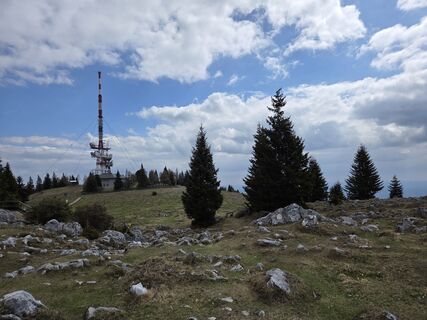 Fotografija s spletne strani Birgit Zückert na poti