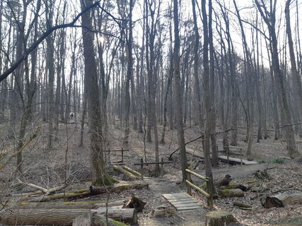 Фото с сайта mmecki во время экскурсии
