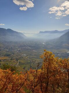 Foto von Moscho entlang der Tour