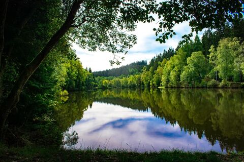 Der Rösper Weiher liegt nahe des Weges und bietet Ruhe und Platz zum Rasten.