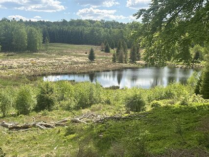 Photo de Fabrice Neulens le long du parcours