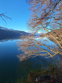 Fotografija s spletne strani Dagmar Hofer na poti