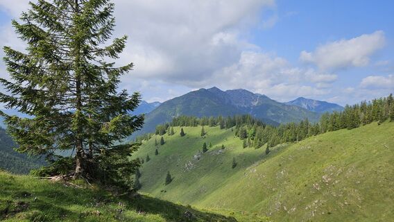Photo de Christian Thomas le long du parcours