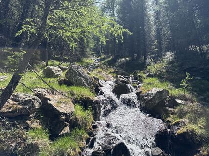 Foto von Hans-Dieter Emil entlang der Tour