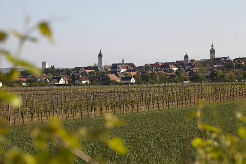 Pilgern im Retzer Land