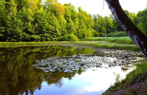 Kleine Böcklingsee-Runde