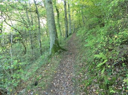 Pfadpassage im Kallenfelstal