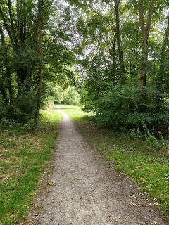 Photo de Dr. Hans Jürgen Groß (Be.Co.Me.) le long du parcours